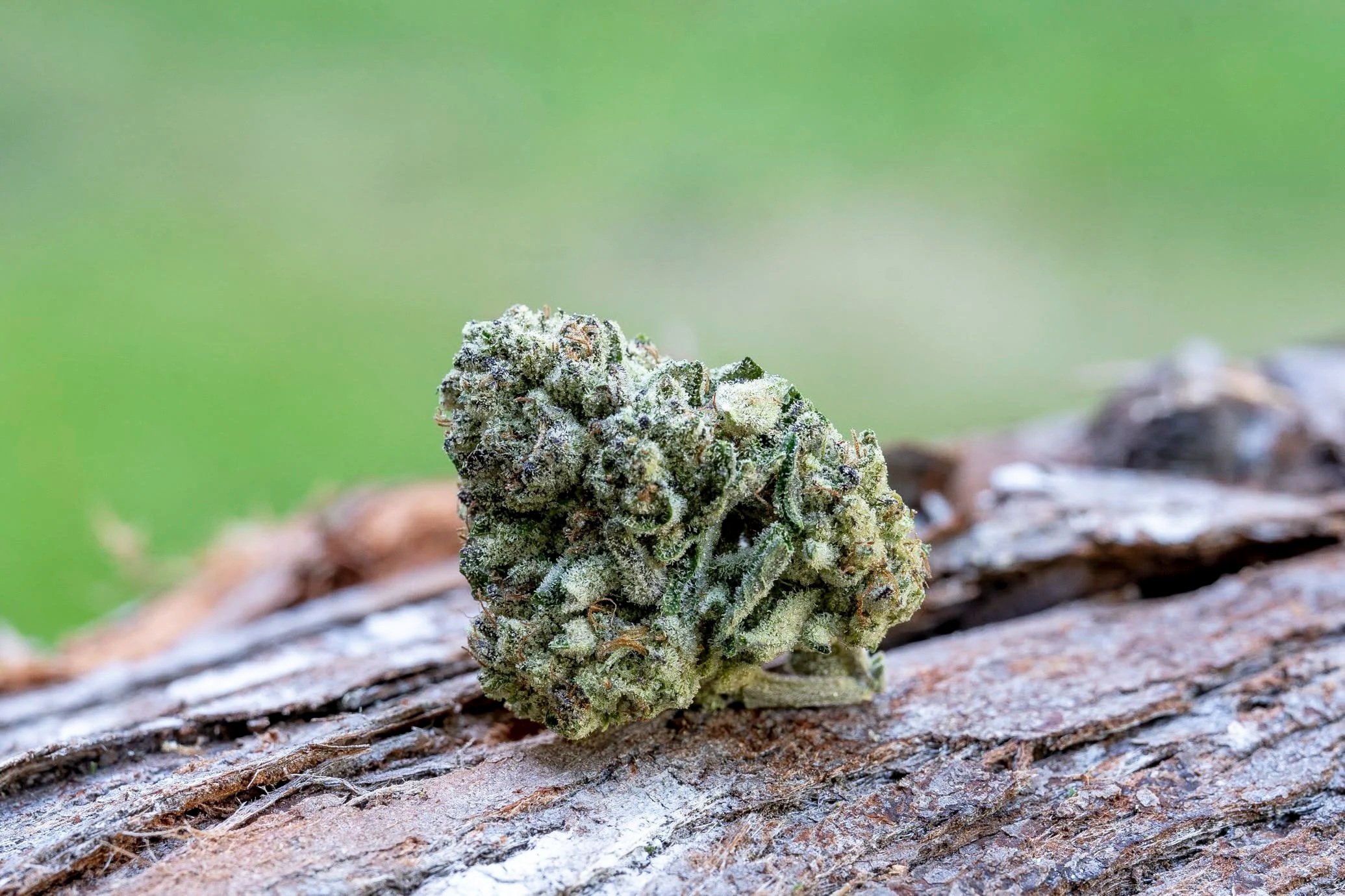 Products — Farm Cut